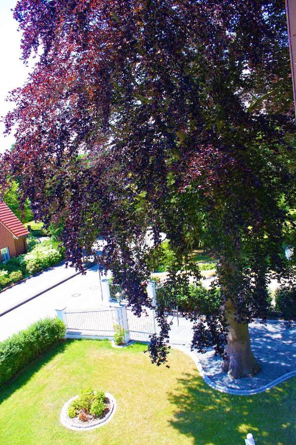 Rosen Villa Kappeln Eksteriør billede